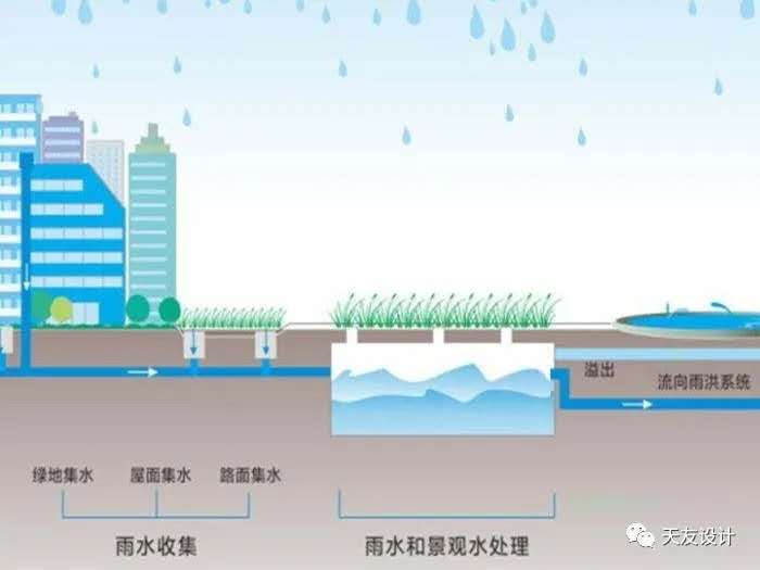 1594002939793861.jpg 42.jpg