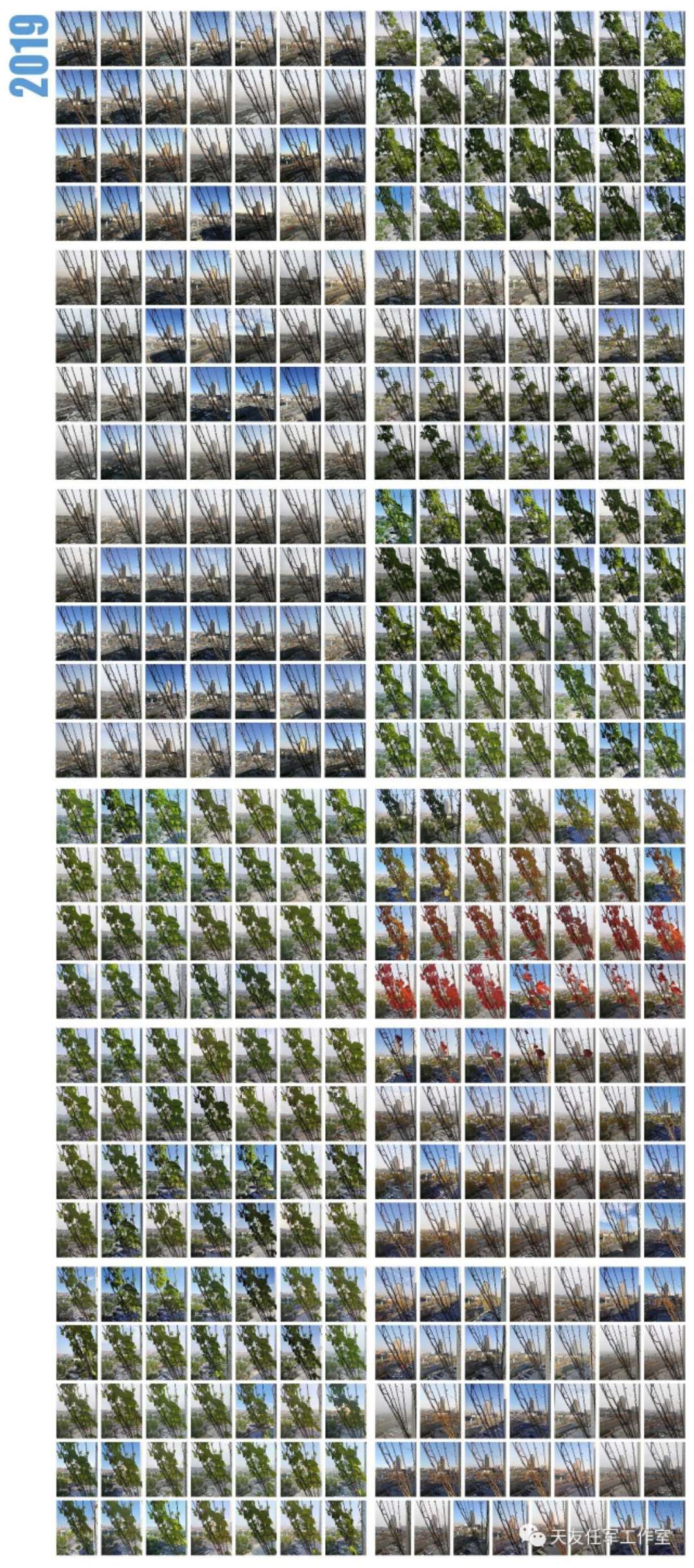 1597806876940912.jpg 2.jpg