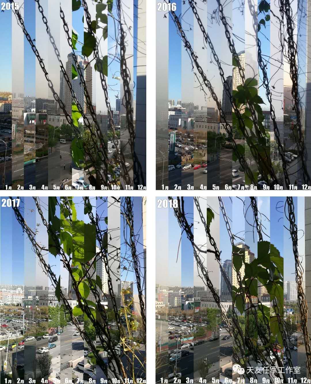 1597807071834330.jpg 10.jpg