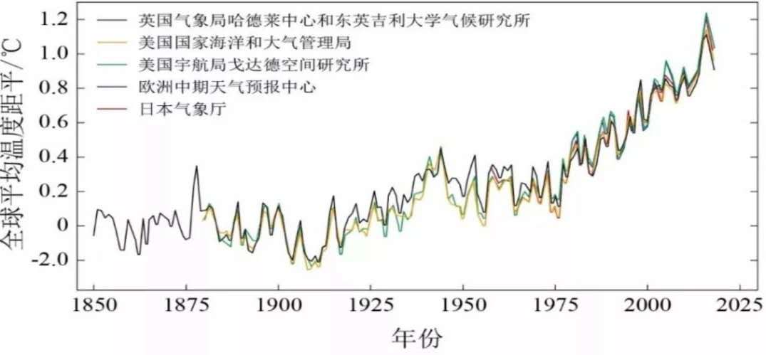 1597807113993180.jpg 14.jpg