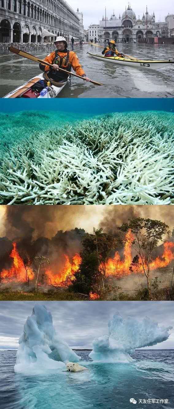 1597807132460358.jpg 16.jpg