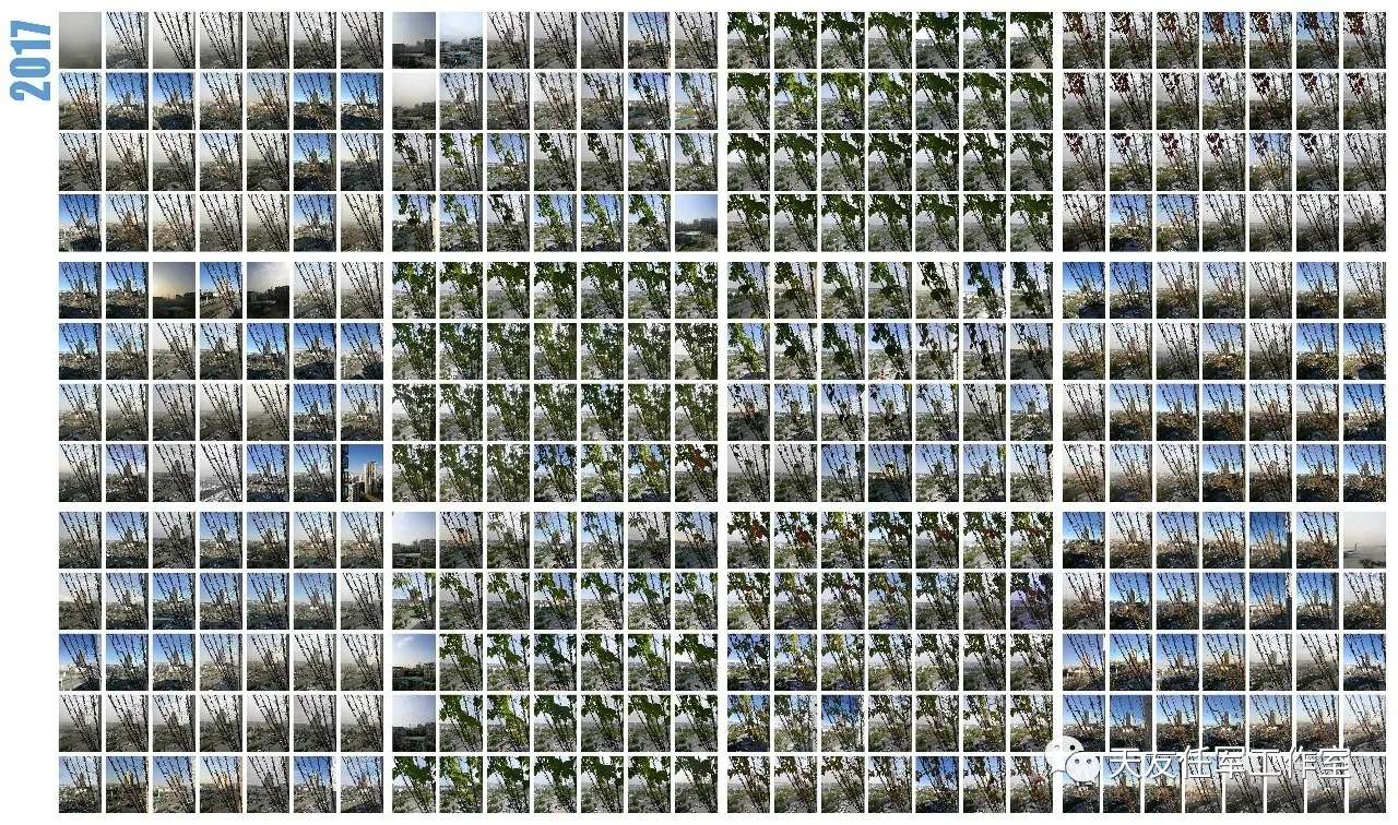 1597807165175002.jpg 19.jpg