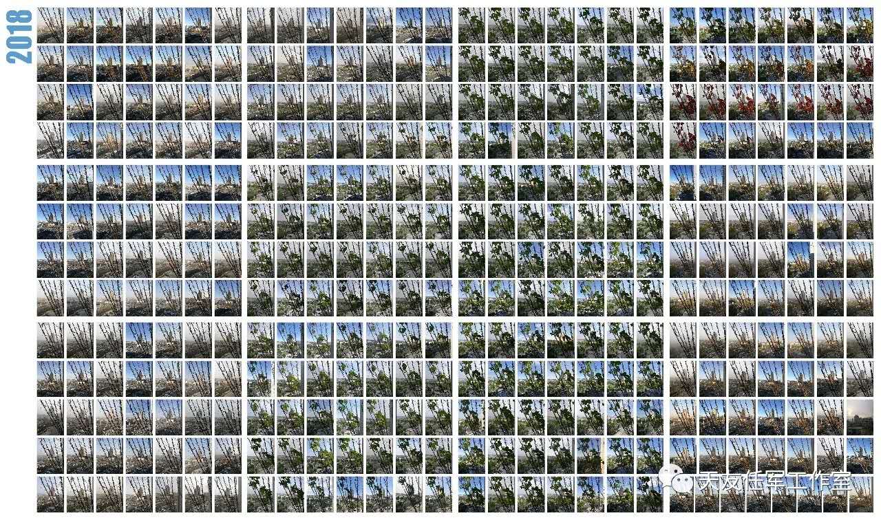 1597807176727621.jpg 20.jpg