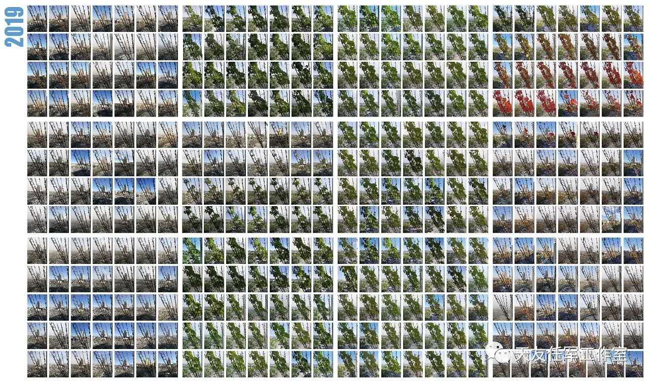 1597807184517204.jpg 21.jpg