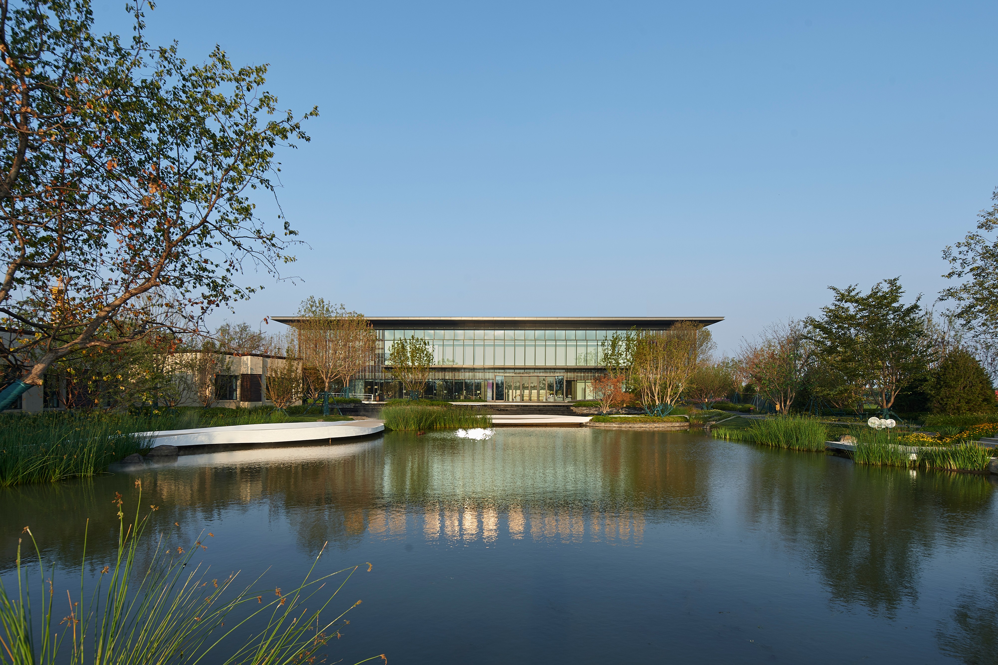 1603697755841827.jpg _DSC1097.gai.jpg