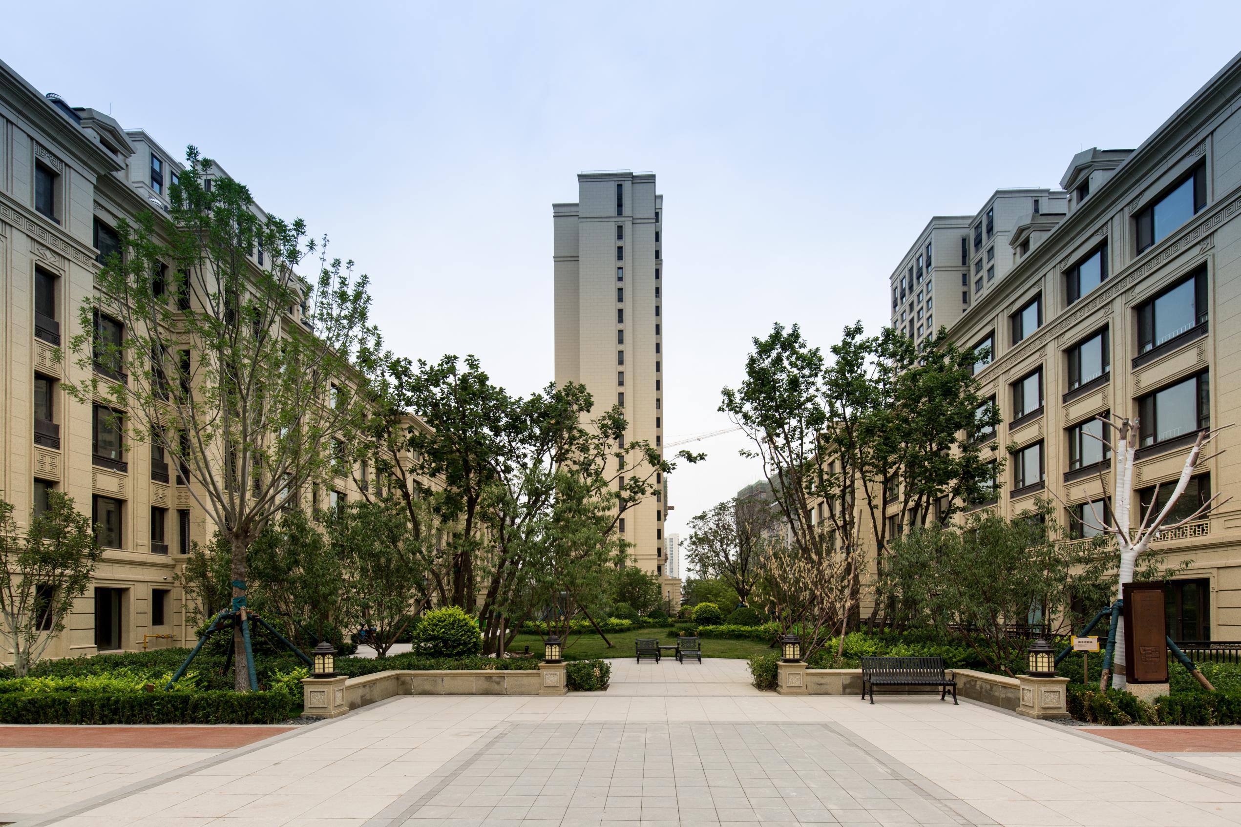 1603702108752753.jpg 圖片1.jpg