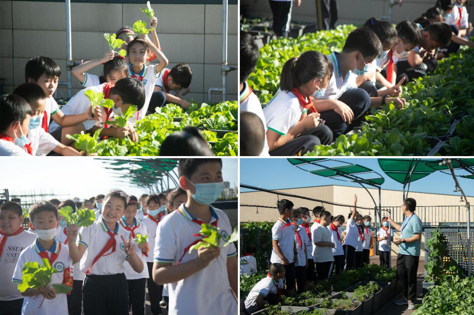 1604470228363160.png 0313.png