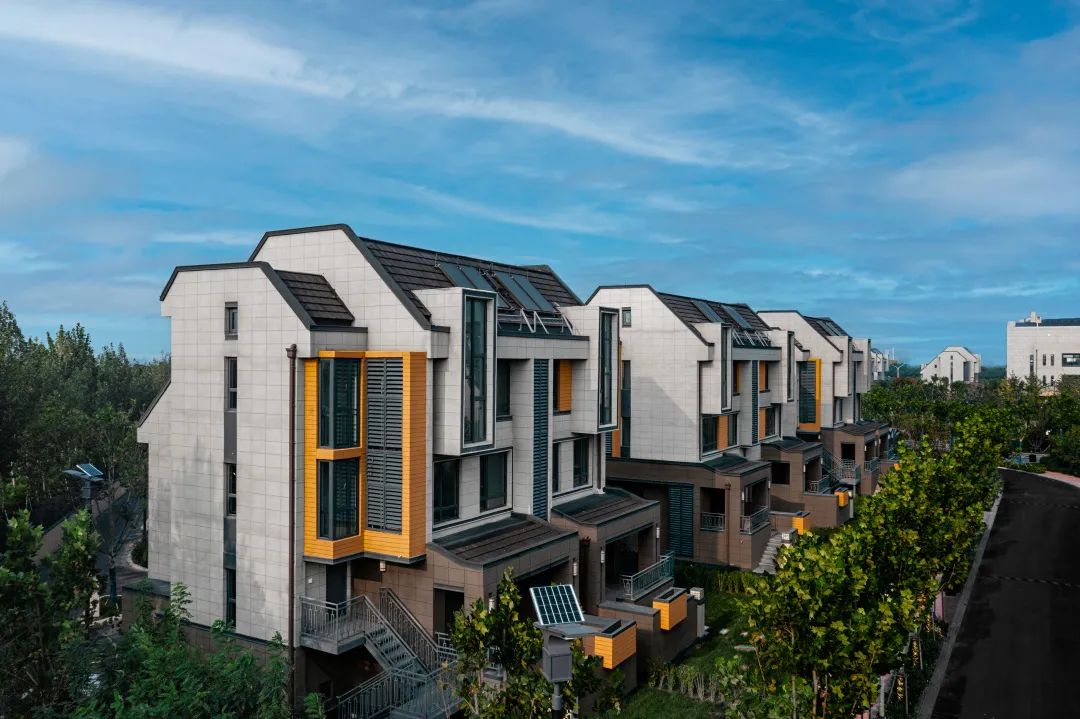 1663223119728069.jpg 13.jpg